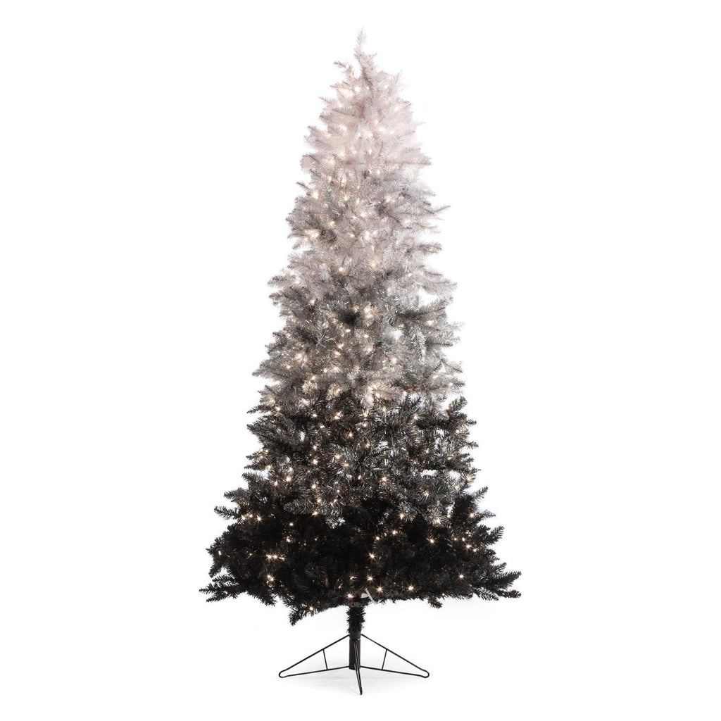 Sterling Clear Prelit Incandescent Black Spruce Christmas Trees, 7.55'