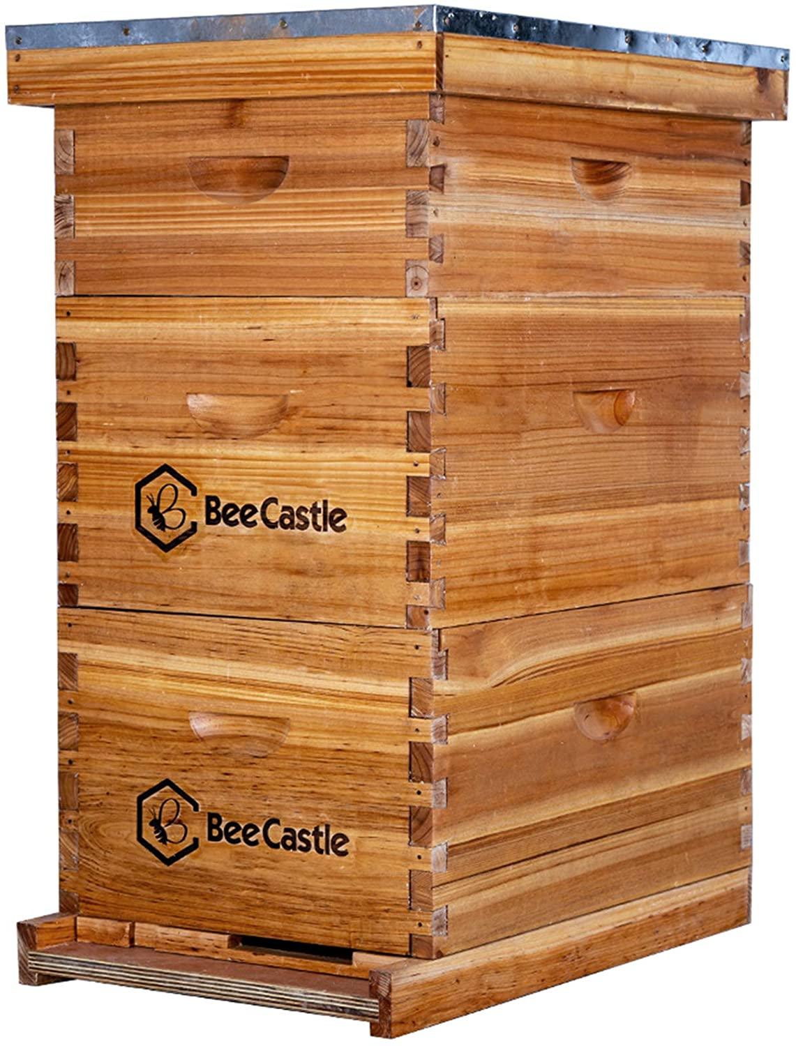 bee hive 8 frame complete bee hives and supplies starter kit, waxed beehives for beginners with bee hive frame and waxed foundation include 2 deep hive box and 1 medium bee hive super