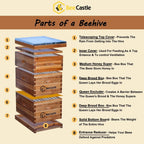 bee hive 8 frame complete bee hives and supplies starter kit, waxed beehives for beginners with bee hive frame and waxed foundation include 2 deep hive box and 1 medium bee hive super
