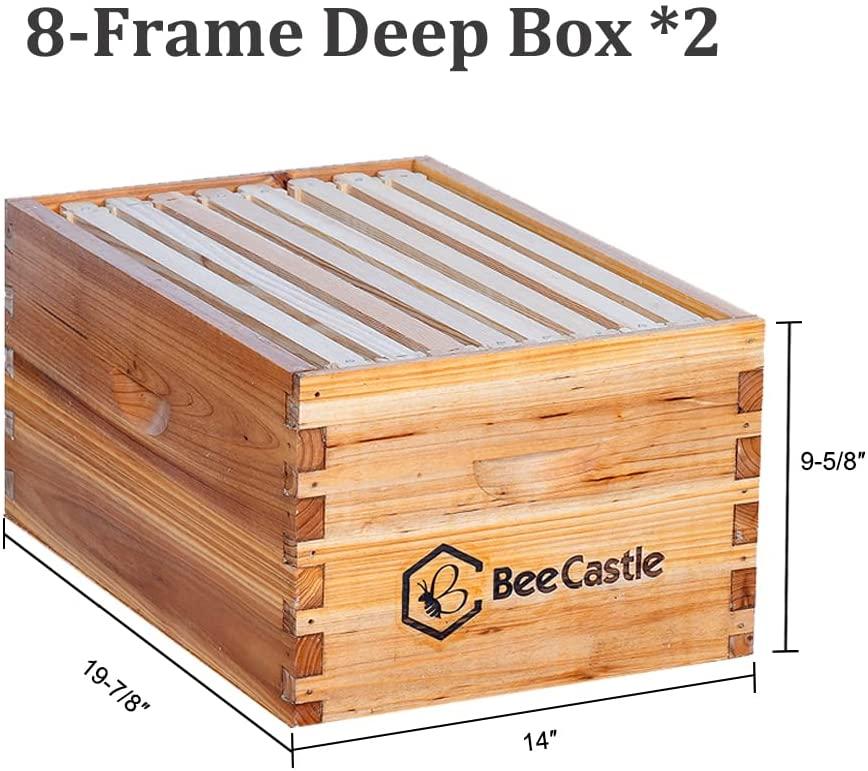 bee hive 8 frame complete bee hives and supplies starter kit, waxed beehives for beginners with bee hive frame and waxed foundation include 2 deep hive box and 1 medium bee hive super