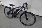 Hybrid Bike