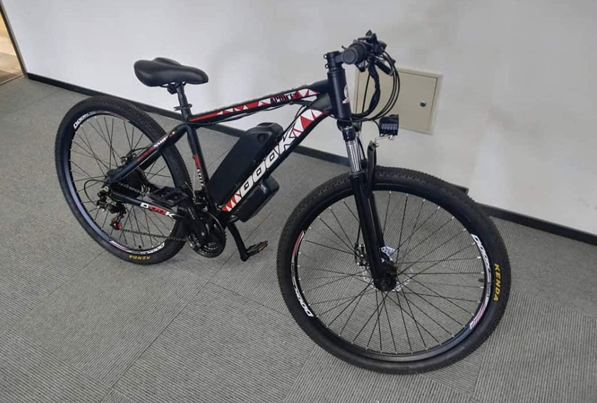Hybrid Bike