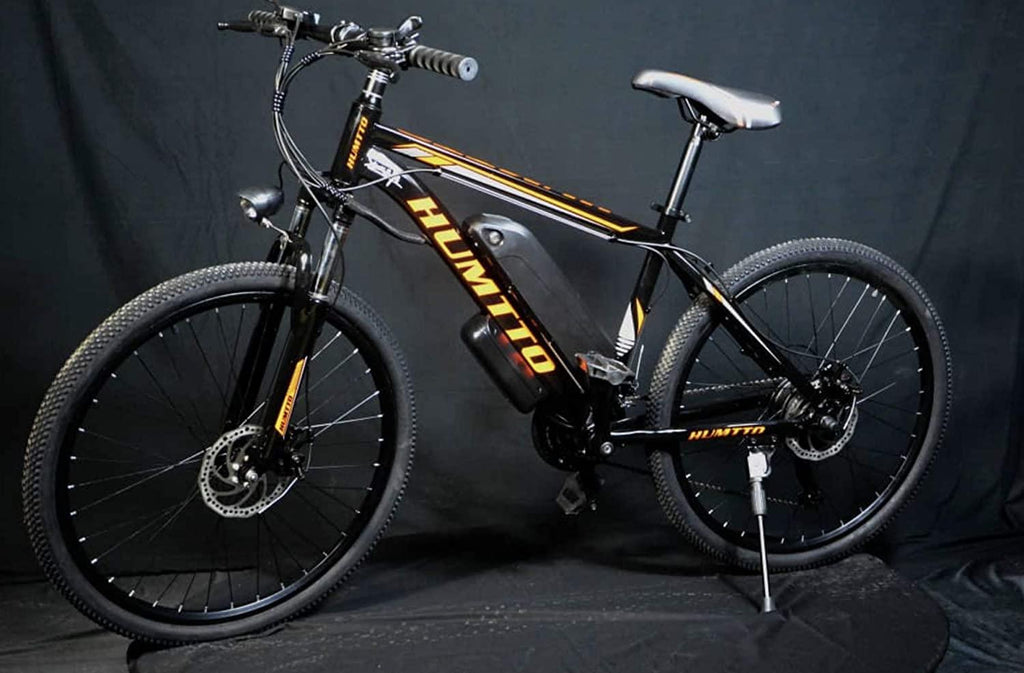 Hybrid Bike