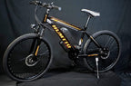 Hybrid Bike