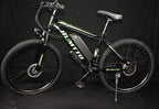 Hybrid Bike