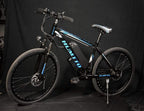 Hybrid Bike