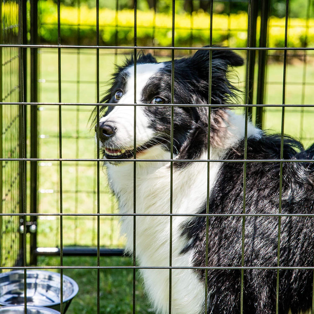 Pupzo Welded Wire Dog Kennel,Outdoor Heavy Duty Pet Kennel with UV Protection and Waterproof Trap Cover Automatic Lock Rotatable Window 2  Steel Bowls Black