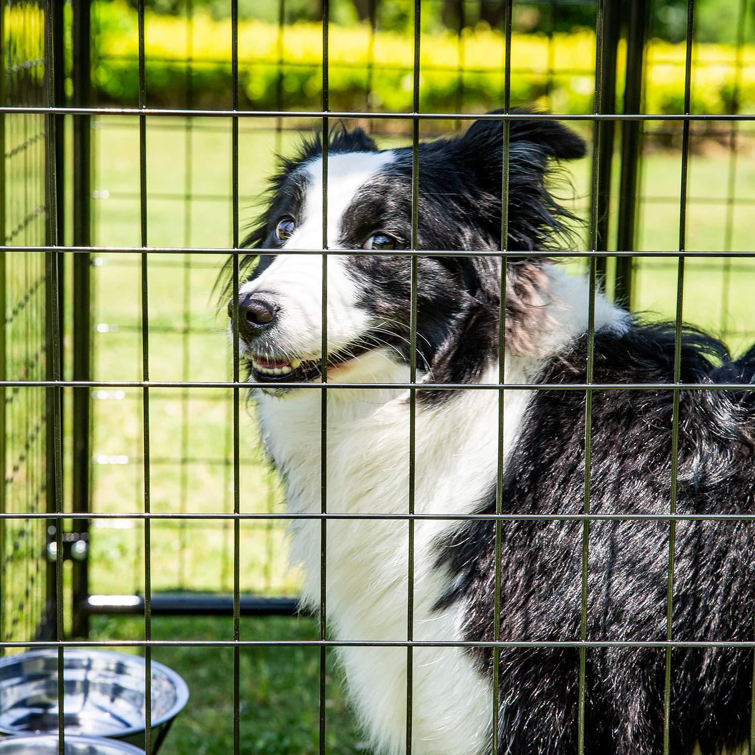 Pupzo Welded Wire Dog Kennel,Outdoor Heavy Duty Pet Kennel with UV Protection and Waterproof Trap Cover Automatic Lock Rotatable Window 2  Steel Bowls Black