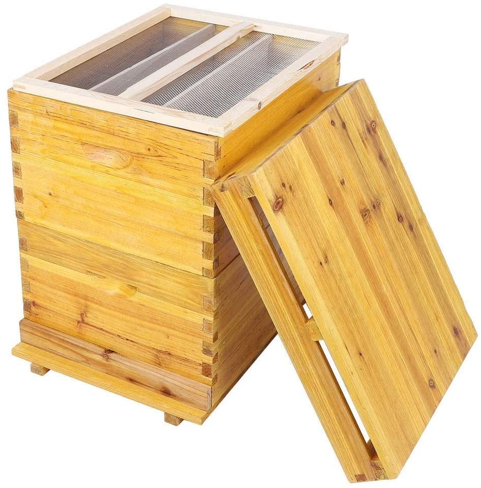 taidda- honey beehive box cedar wood 10 frame beekeeping box kit insect proof durable beehive brood box for beekeeping beekeepers use moistureproof and insect proof