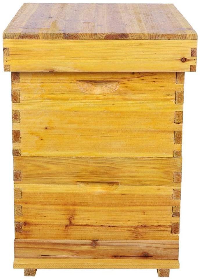 taidda- honey beehive box cedar wood 10 frame beekeeping box kit insect proof durable beehive brood box for beekeeping beekeepers use moistureproof and insect proof