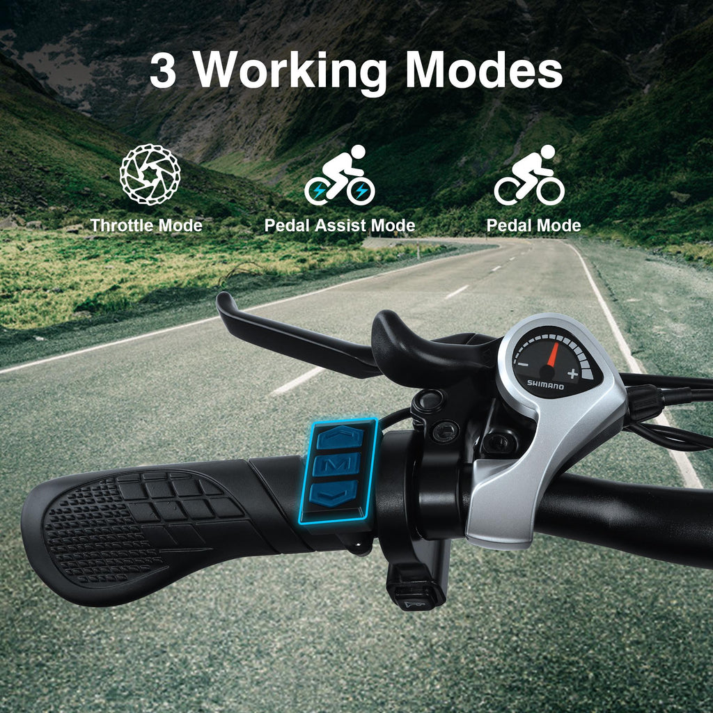 APETHS 26 inch Electric Bike, 21 Speed Electric Mountain Bike, 350W Brushless Motor, 36V or 10.4Ah Removable Lithium-Ion Battery, Aluminum Frame, Center LCD Meter