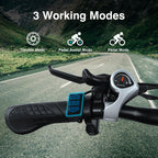 APETHS 26 inch Electric Bike, 21 Speed Electric Mountain Bike, 350W Brushless Motor, 36V or 10.4Ah Removable Lithium-Ion Battery, Aluminum Frame, Center LCD Meter