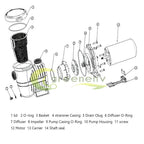 1.5hp 230v 2-speed high-flo inground swimming pool pump strainer energy saving