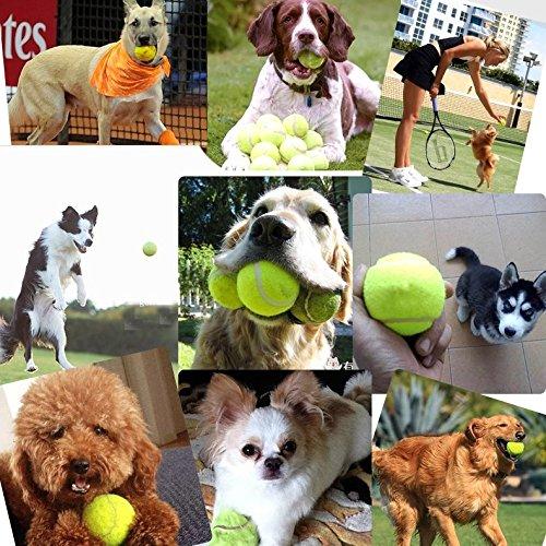 Happy Roam PetSupplies Dog-Specific Durable Fashion Pet Supplies Toy Training Dog Launcher Firing  Remote Speed Aiming Tennis Launcher, Size:52199cm Safe and Comfortable