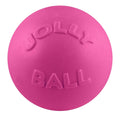 Jolly Pets Toys Jolly Bounce-N-Play Dog Toy
