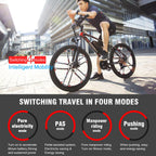 26 Inch Electric Bike Power Assist Electric Bicycle E-Bike 350W Motor Moped Bike,Black