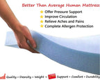 Dogbed4less Premium Orthopedic Memory Foam Dog Bed | Waterproof Liner, Washable Durable Canvas Cover and Bonus 2nd External Case, 7 Sizes