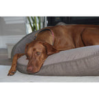 Bowsers Crescent Bed, X-Large, Flax