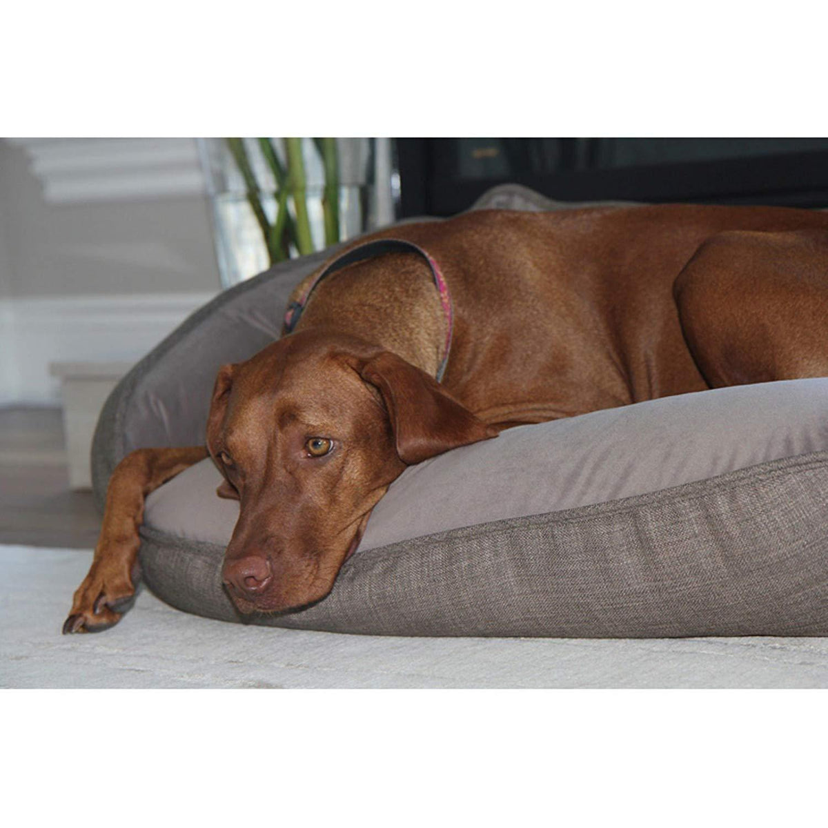 Bowsers Crescent Bed, X-Large, Flax
