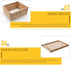 terradise bee hive, 5 layer honey bee hives, beekeeping supplies beehive kit, bee house bee boxes for starter (no frame)