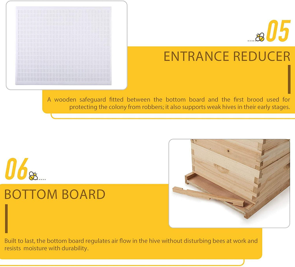 terradise bee hive, 5 layer honey bee hives, beekeeping supplies beehive kit, bee house bee boxes for starter (no frame)
