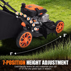 21" Self-Propelled Gas Lawn Mower with 170CC 4-Stroke Engine, 7 Cutting Heights, 3-in-1 Mulch/Bag/Discharge, 1.9-Bushel Grass Bag, EPA Compliant
