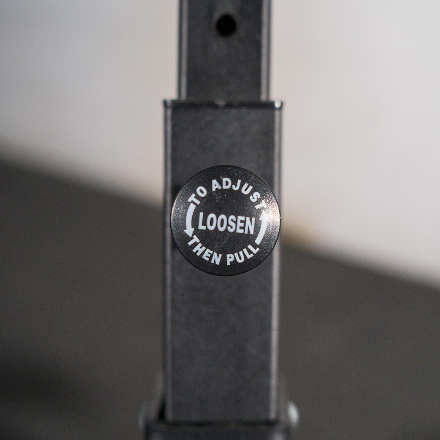 Fitness Landmine Stand with Weight Storage