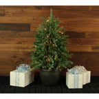 4 ft. Pre-Lit Potted Pine Artificial Christmas Tree with 100 Clear Lights