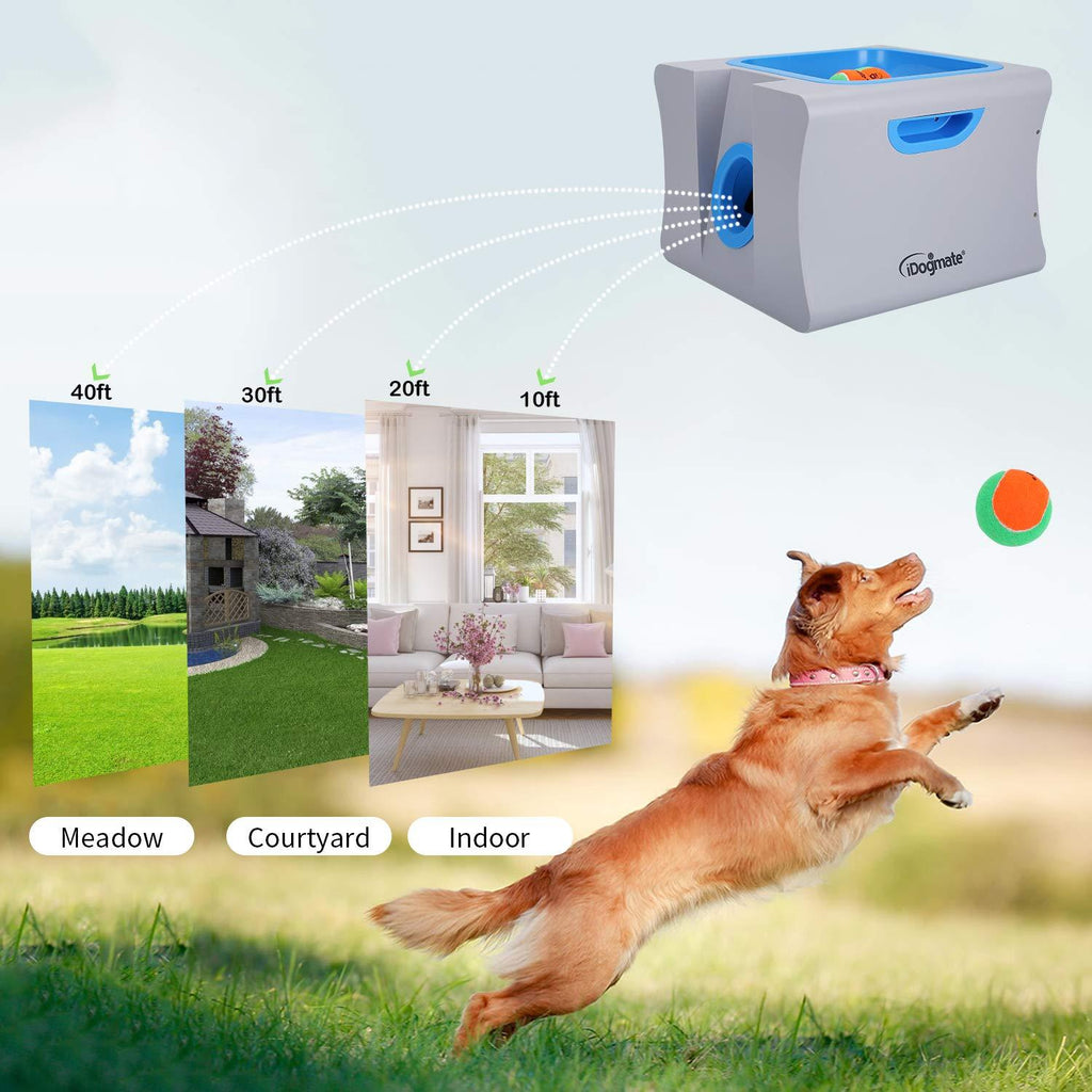 IDOGMATE Interactive Ball Launchers for Dogs Automatic Tennis Ball Thrower for Dogs
