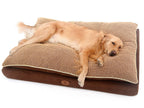 PLS Pet Paradise Orthopedic Pet Bed, Orthopedic Dog Bed, Foam Dog Bed, Dog Beds for LarDogs