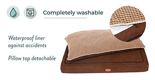 PLS Pet Paradise Orthopedic Pet Bed, Orthopedic Dog Bed, Foam Dog Bed, Dog Beds for LarDogs