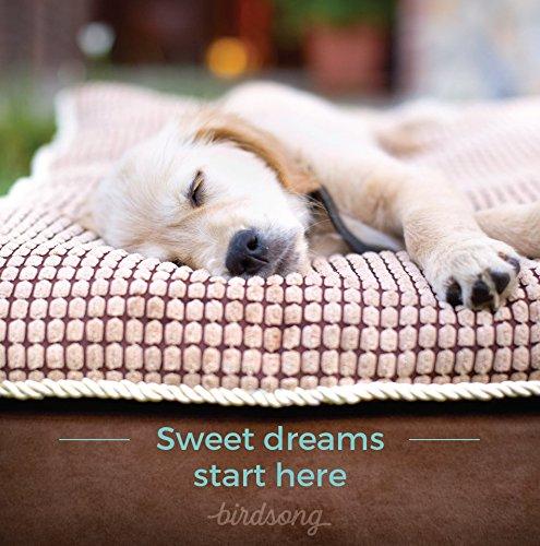 PLS Pet Paradise Orthopedic Pet Bed, Orthopedic Dog Bed, Foam Dog Bed, Dog Beds for LarDogs