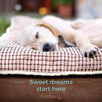 PLS Pet Paradise Orthopedic Pet Bed, Orthopedic Dog Bed, Foam Dog Bed, Dog Beds for LarDogs