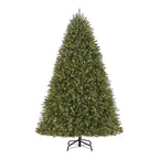 7.5 ft Dunland Fir Christmas Tree