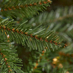 7.5 ft Dunland Fir Christmas Tree