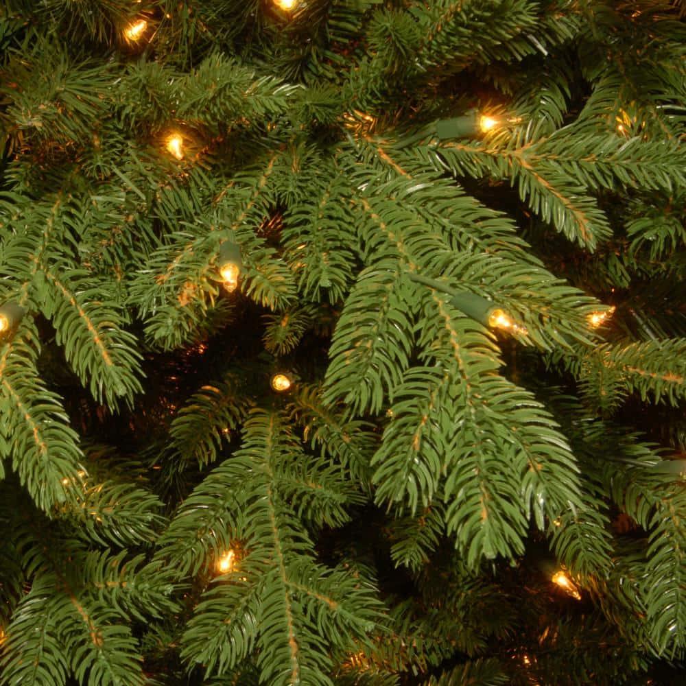 7.5 ft. PowerConnect Vienna Fir with Dual Color LED Lights
