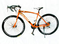 Sunni Road Bike