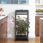 aerogarden farm 12xl