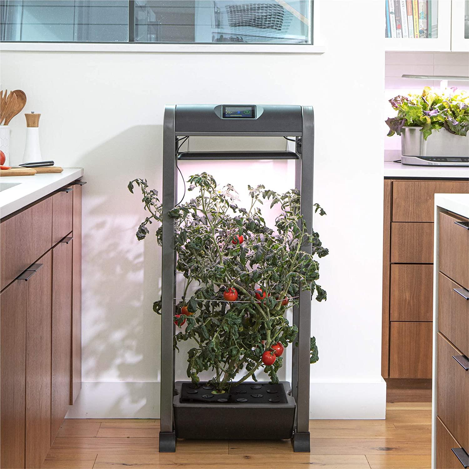 aerogarden farm 12xl