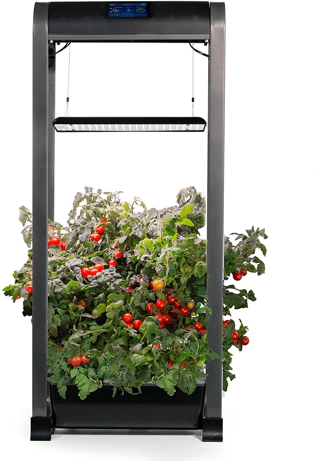 aerogarden farm 12xl