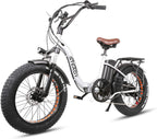Trekpower 20” Electric Bikes for Adults, Dual Disc Brake Electric Mountain Bike, 500W Motor Electric Bicycle&amp;48V Removable Lithium Battery, (Black/Silver)