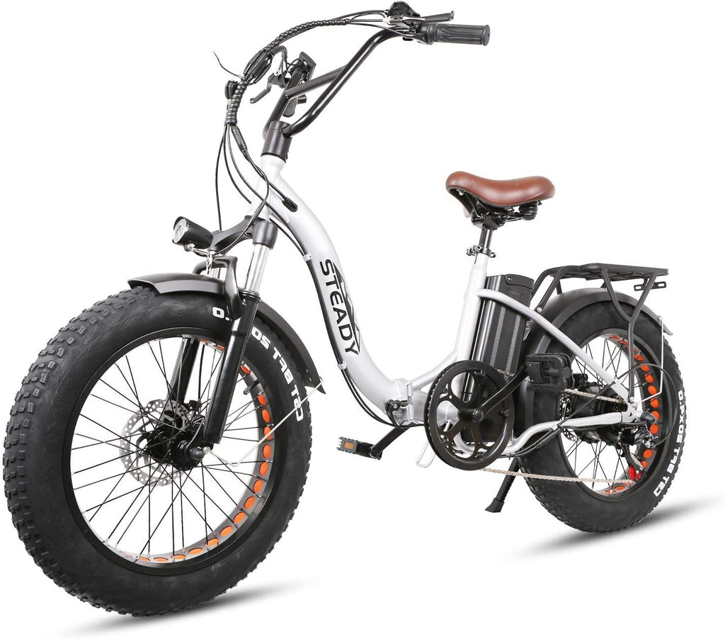 Trekpower 20” Electric Bikes for Adults, Dual Disc Brake Electric Mountain Bike, 500W Motor Electric Bicycle&amp;48V Removable Lithium Battery, (Black/Silver)