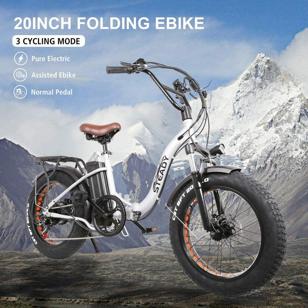 Trekpower 20” Electric Bikes for Adults, Dual Disc Brake Electric Mountain Bike, 500W Motor Electric Bicycle&amp;48V Removable Lithium Battery, (Black/Silver)