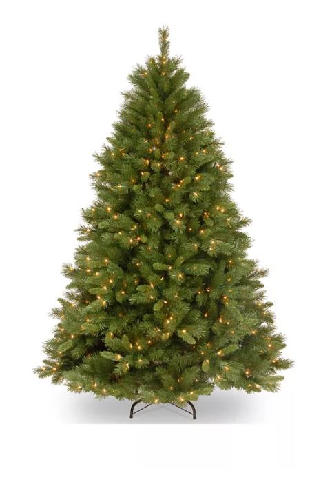 NIB National Tree Company 6 ft. Winchester Pine Tree with Clear Lights