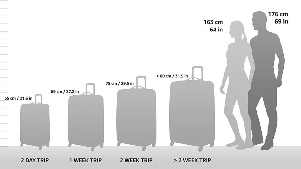 Boren Polycarbonate Hardside Rugged Travel Suitcase Luggage with 8 Spinner Wheels, Aluminum Handle, Pink, Checked-Large 30-Inch