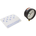 Jandy Pro Series Energy Filter With Gauge