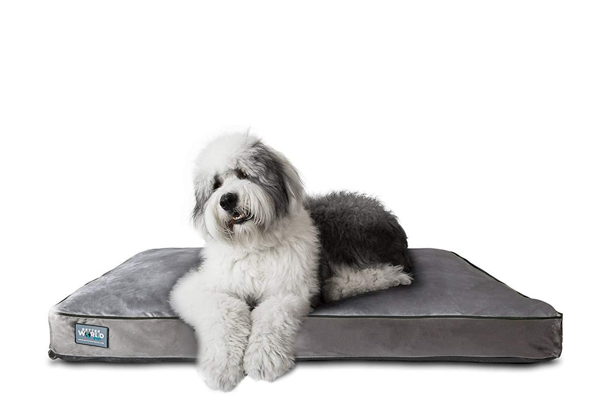 First-Quality Orthopedic Dog Bed |Pure Premium Shredded Memory Foam Ideal for Aging Dogs | Eases Pain of Arthritis &amp; Hip Dysplasia | Waterproof 180 GSM Removable Washable Cover