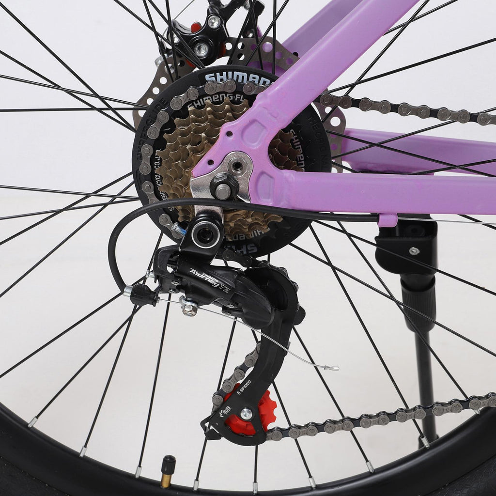 AUSPUM Youth/Adult Mountain Bike, Aluminum Frame and Disc Brakes, 26-Inch Wheels, 21-Speed, Purple