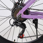 AUSPUM Youth/Adult Mountain Bike, Aluminum Frame and Disc Brakes, 26-Inch Wheels, 21-Speed, Purple