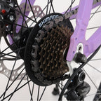 AUSPUM Youth/Adult Mountain Bike, Aluminum Frame and Disc Brakes, 26-Inch Wheels, 21-Speed, Purple